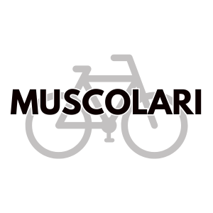 muscolare