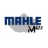 Mot_Mahle