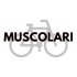 muscolare